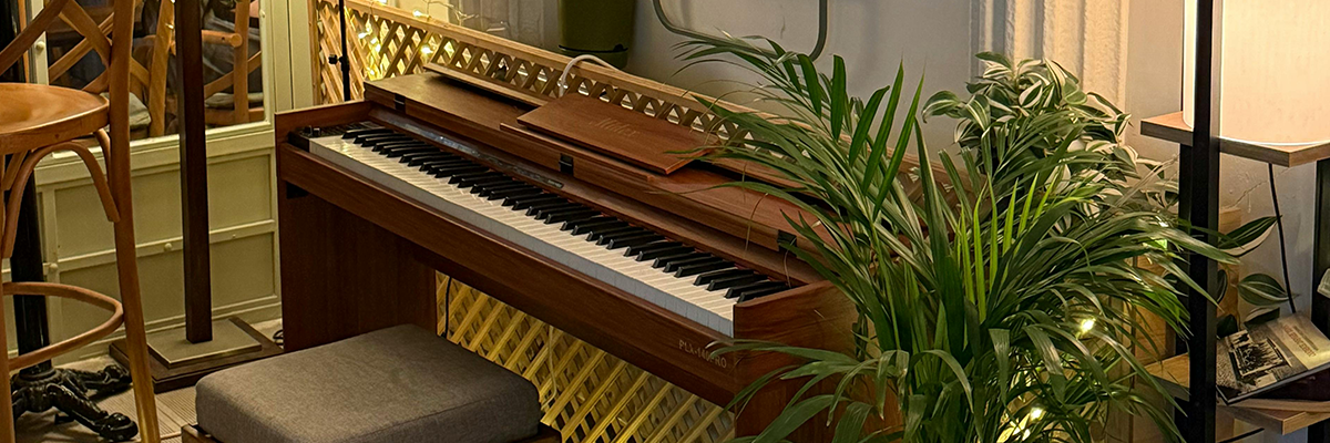 Our Piano Collection 2
